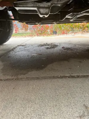 Absolute Automotive & Accessories