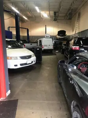 Canil Auto Mechanic