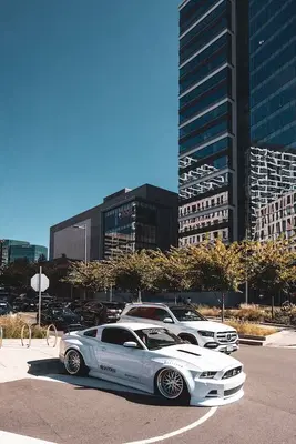 AFG Auto Glass