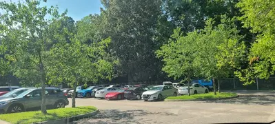 Elite Auto Body