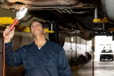 Business Photo
