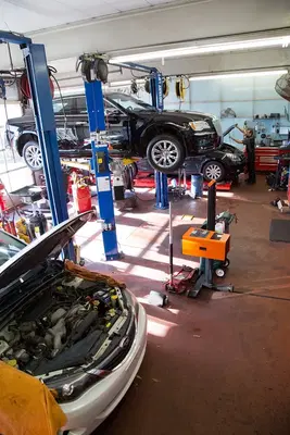 Automotive Specialists