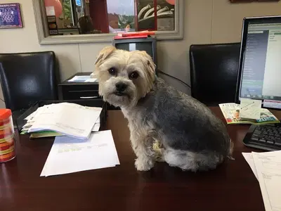 Business Photo