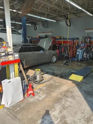 Tune Up Plus