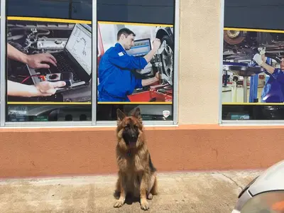 Business Photo