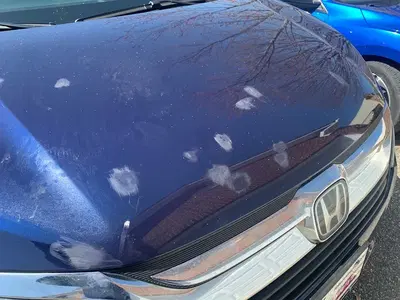 Value Auto Body LLC.
