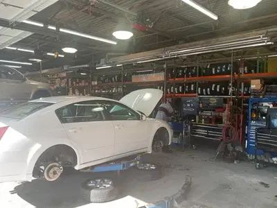 Midas