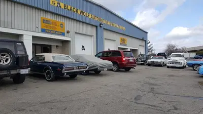 Black Wolf Automotive Specialties