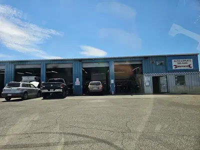 AUTO EXPERTS