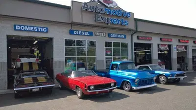 Automotive Experts