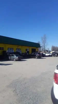 Economic Country Tire