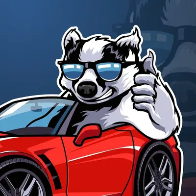 Badger City Auto Sales & Service
