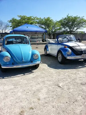 SRP Automotive Inc