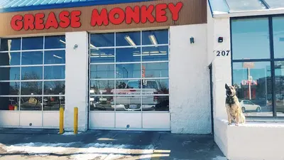 Grease Monkey